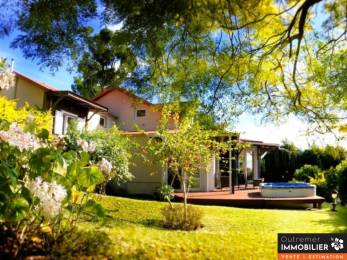 Location Maison Saint-Denis (97400) - REUNION