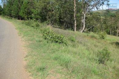 Achat Terrain ANTANANARIVO () - MADAGASCAR