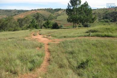 Achat Terrain ANTANANARIVO () - MADAGASCAR