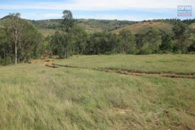 Achat Terrain ANTANANARIVO () - MADAGASCAR