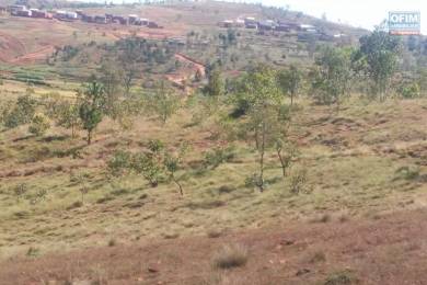 Achat Terrain ANTANANARIVO () - MADAGASCAR