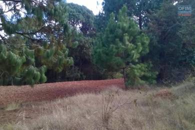 Achat Terrain ANTANANARIVO () - MADAGASCAR