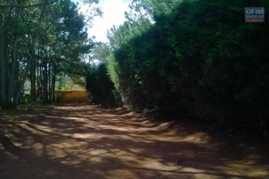 Achat Terrain ANTANANARIVO () - MADAGASCAR