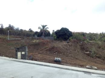 Achat Terrain La Possession (97419) - REUNION
