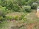 miniature