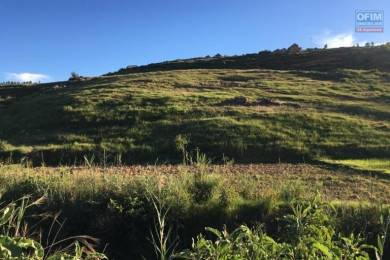Achat Terrain ANTANANARIVO () - MADAGASCAR