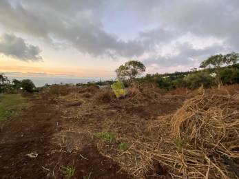 Achat Terrain Saint-Denis (97400) - REUNION