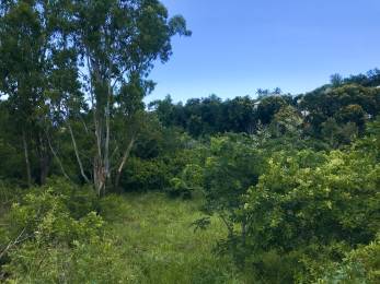 Achat Terrain La Montagne (97417) - REUNION