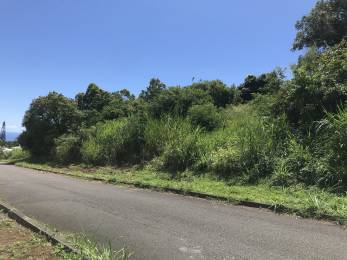 Achat Terrain La Montagne (97417) - REUNION