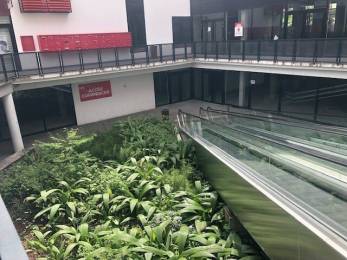 Location  Bureaux Saint-Pierre (97410) - REUNION