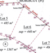 achat terrain à saint-louis (97450)