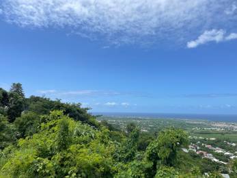 Achat Terrain Saint-Louis (97450) - REUNION