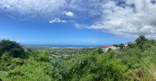 Achat Terrain Saint-Louis (97450) - REUNION
