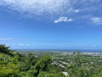 Achat Terrain Saint-Louis (97450) - REUNION