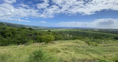 a vendre - parcelle de 386m2 dans le lotissement ti polka à marie caze