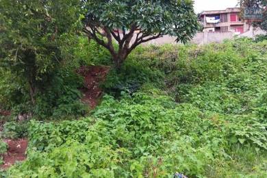 Achat Terrain ANTANANARIVO () - MADAGASCAR