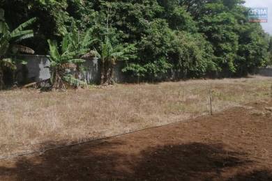 Achat Terrain MAPOU () - MAURICE