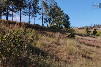 Achat Terrain ANTANANARIVO () - MADAGASCAR