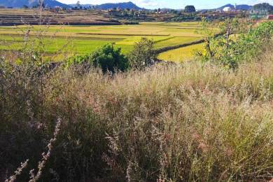 Achat Terrain ANTANANARIVO () - MADAGASCAR