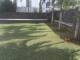 miniature