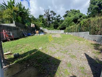 Location Terrain Saint-Denis (97400) - REUNION