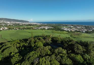Achat Terrain Sainte-Marie (97438) - REUNION