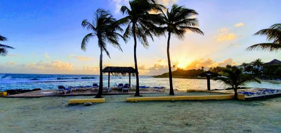 Achat T2 neuf ST-FRANCOIS Saint-François (97118) - GUADELOUPE