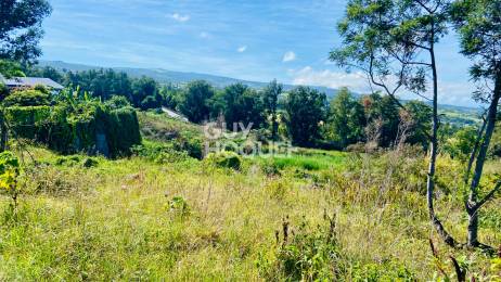 Achat Terrain Tampon (97430) - REUNION