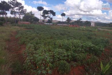 Achat Terrain ANTANANARIVO () - MADAGASCAR