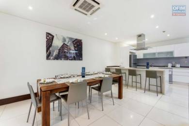 Achat Appartement GRAND BAIE - PEREYBERE - POINTE AUX CANNONIERS () - MAURICE