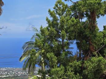 Achat terrain Hauts de l'Ouest (97423) - REUNION