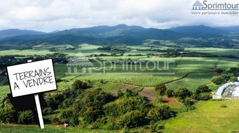 Achat Terrain Lamentin (97129) - GUADELOUPE