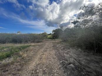 Achat Terrain à Batir Sainte-Anne (97180) - GUADELOUPE