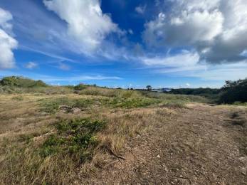 Achat Terrain à Batir Sainte-Anne (97180) - GUADELOUPE