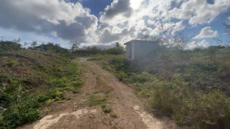 Achat Terrain à Batir Sainte-Anne (97180) - GUADELOUPE