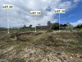 Achat Terrain à Batir Sainte-Anne (97180) - GUADELOUPE