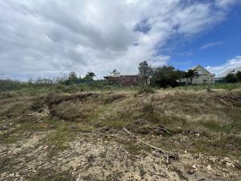 Achat Terrain à Batir Sainte-Anne (97180) - GUADELOUPE