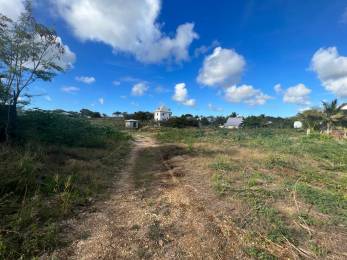 Achat Terrain à Batir Sainte-Anne (97180) - GUADELOUPE
