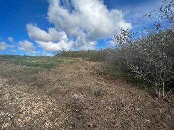 Achat Terrain à Batir Sainte-Anne (97180) - GUADELOUPE