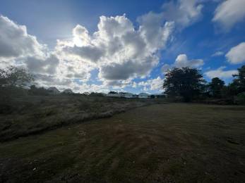 Achat Terrain à Batir Sainte-Anne (97180) - GUADELOUPE