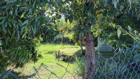 Achat Villa Saint-Paul (97460) - REUNION