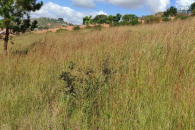 Achat Terrain ANTANANARIVO () - MADAGASCAR