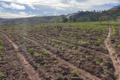 Achat Terrain ANTANANARIVO () - MADAGASCAR
