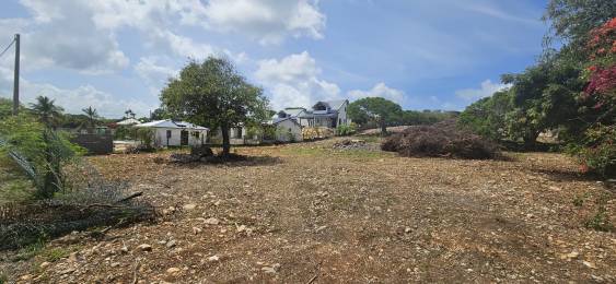 Achat Terrain Saint-François (97118) - GUADELOUPE
