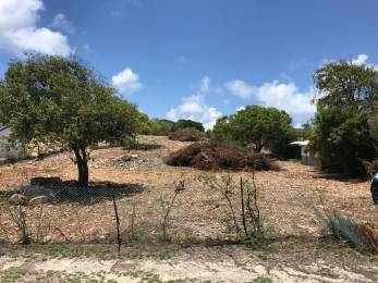 Achat Terrain Saint-François (97118) - GUADELOUPE
