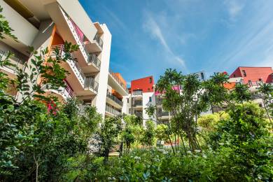 Achat  Local Commercial Saint-Pierre (97410) - REUNION