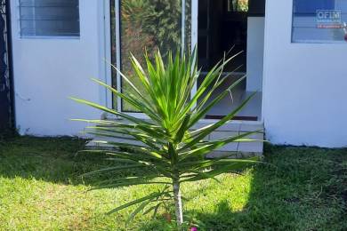 Achat Appartement Bras-Panon (97412) - REUNION