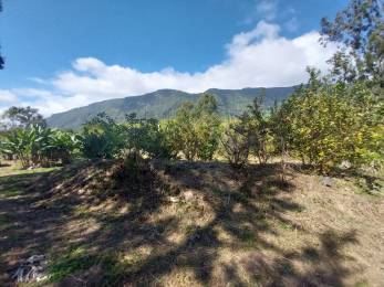 Achat Terrain Salazie (97433) - REUNION