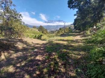 Achat Terrain Salazie (97433) - REUNION