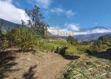 Achat Terrain Salazie (97433) - REUNION